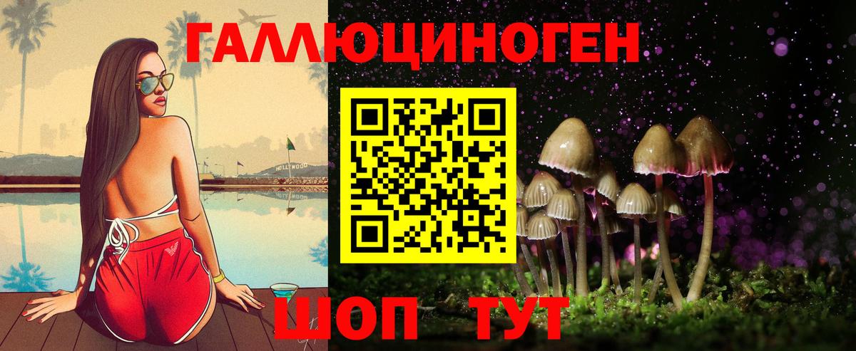 Псилоцибиновые грибы Cubensis  Вход с VPN  Кудрово 